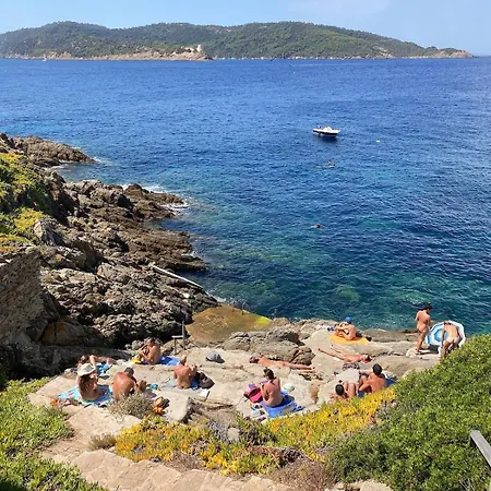 Appt Cosy Vue Panoramique A Giens - Plages A Pieds