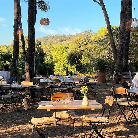 Appt Cosy Vue Panoramique A Giens - Plages A Pieds
